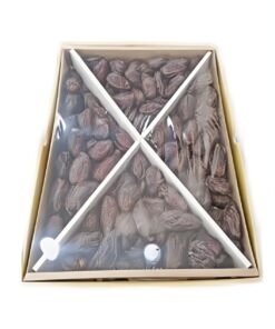 تمر مجدول فلسطيني وسط