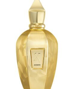XERJOFF V Accento Overdose EDP 100ml